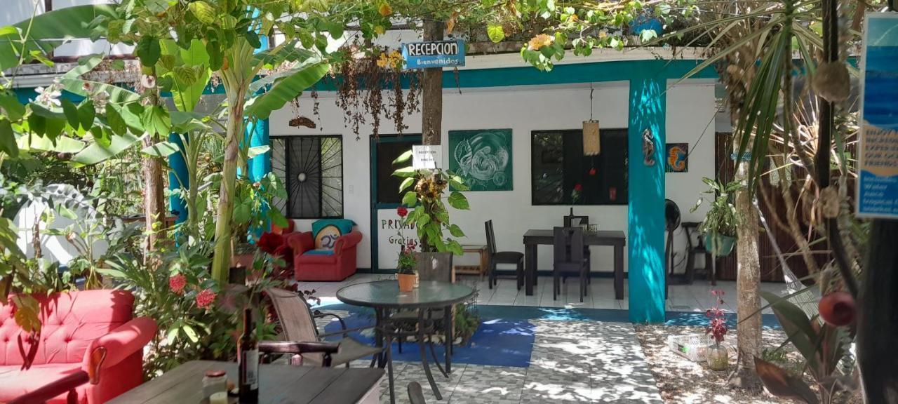Cabinas Del Mar Sámara 外观 照片