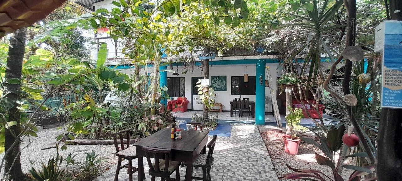 Cabinas Del Mar Sámara 外观 照片