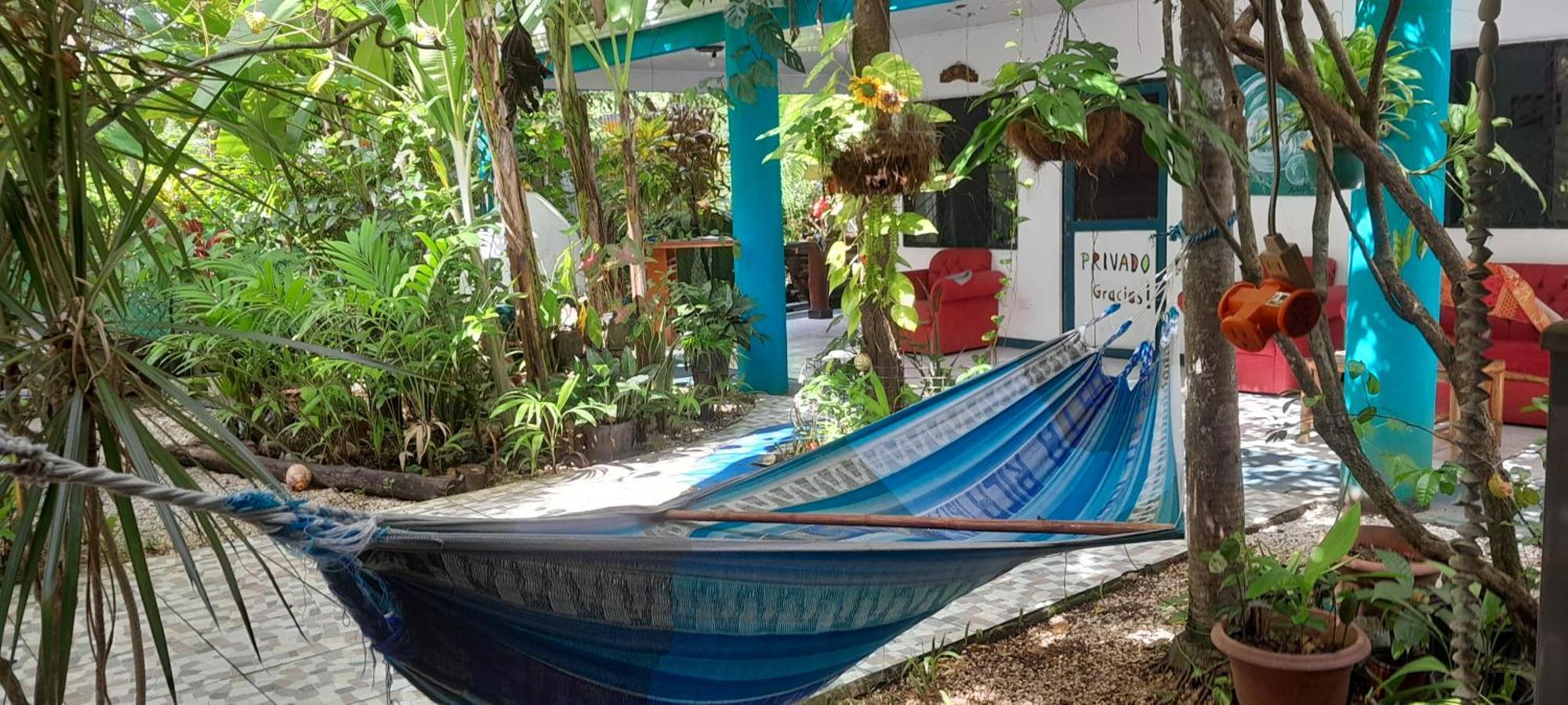 Cabinas Del Mar Sámara 外观 照片