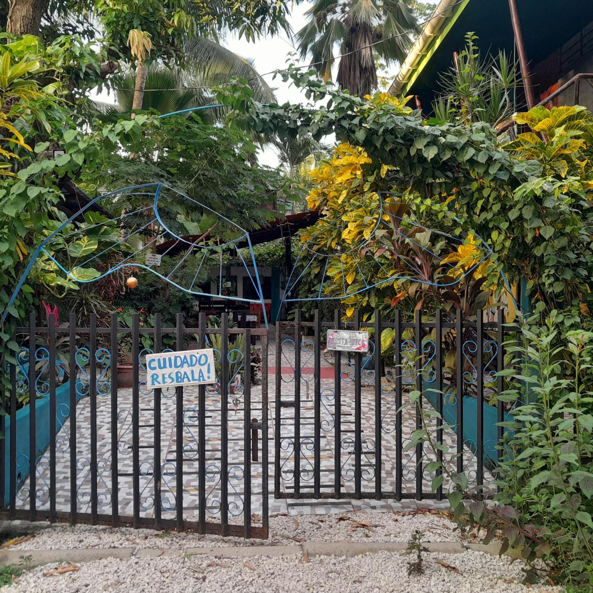 Cabinas Del Mar Sámara 外观 照片