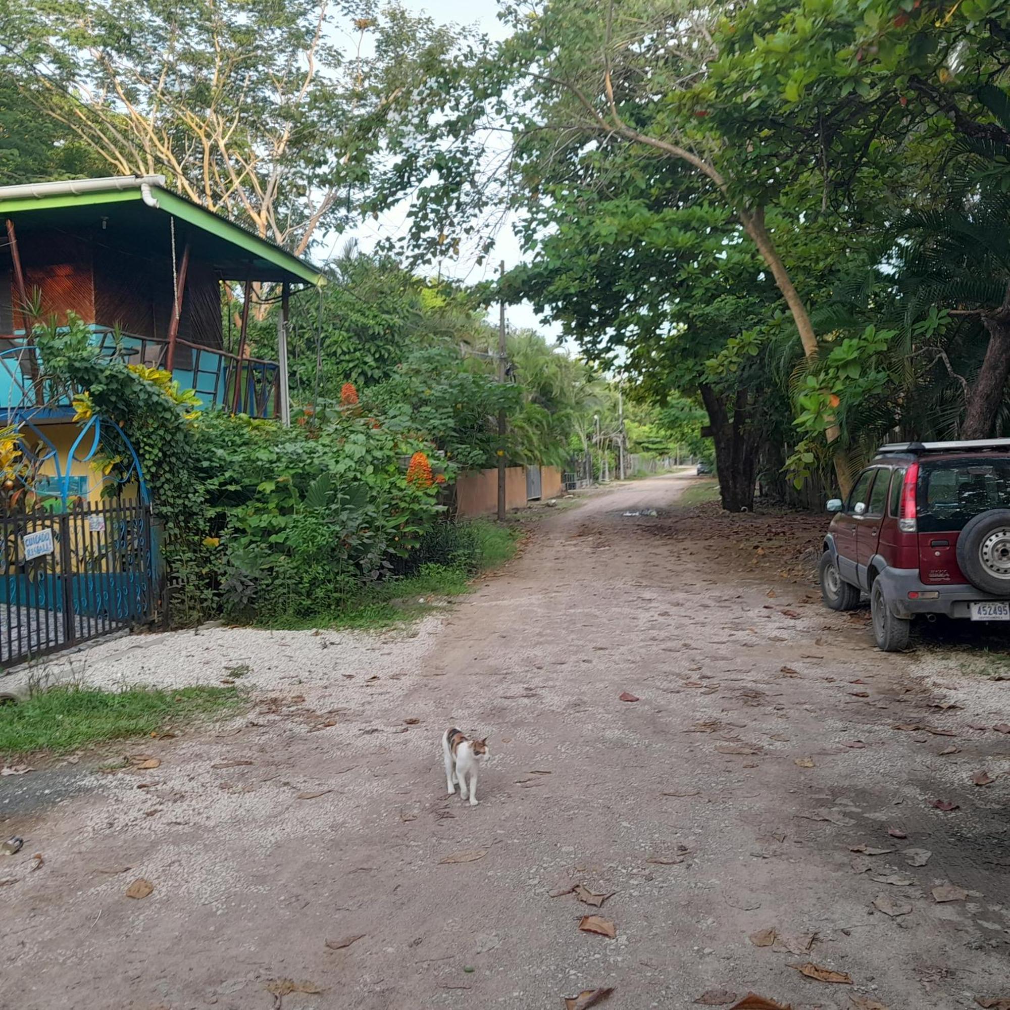 Cabinas Del Mar Sámara 外观 照片
